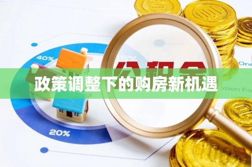 新城政策调整下的购房新机遇