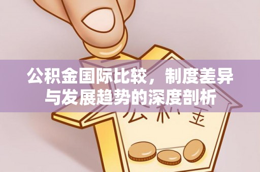 新城公积金国际比较，制度差异与发展趋势的深度剖析