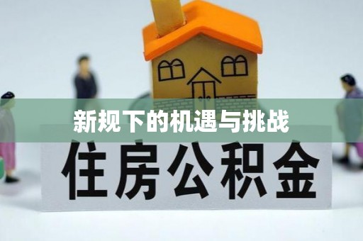 新城新规下的机遇与挑战
