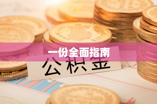 新城一份全面指南