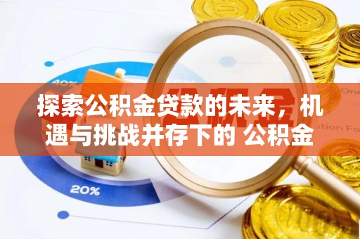 新城探索公积金贷款的未来，机遇与挑战并存下的 公积金贷款风险防控
