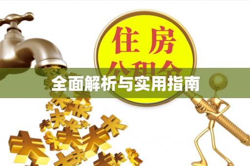 新城全面解析与实用指南