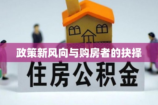 新城政策新风向与购房者的抉择