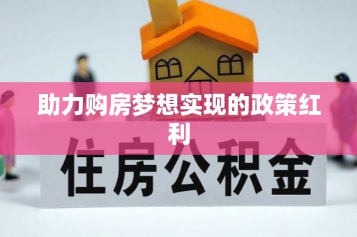 新城助力购房梦想实现的政策红利