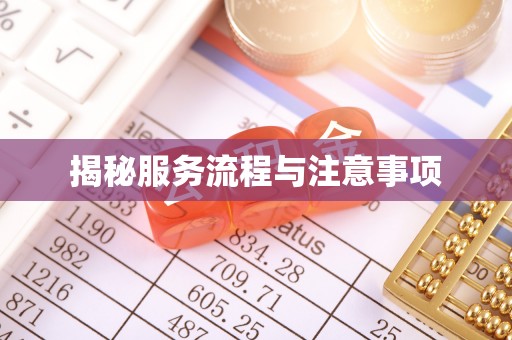 新城揭秘服务流程与注意事项