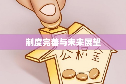 新城制度完善与未来展望