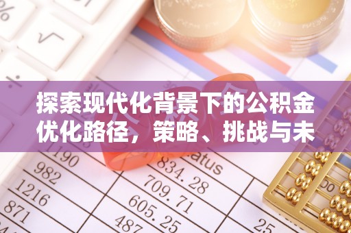新城探索现代化背景下的公积金优化路径，策略、挑战与未来展望