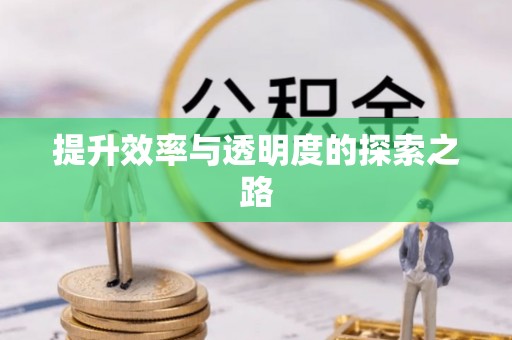 新城提升效率与透明度的探索之路