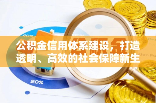 新城公积金信用体系建设，打造透明、高效的社会保障新生态
