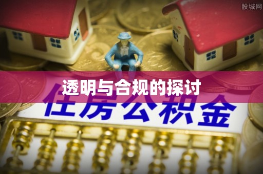 新城透明与合规的探讨