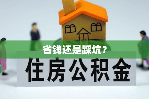 新城省钱还是踩坑？