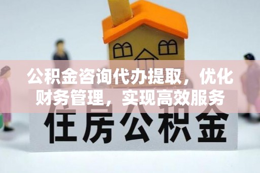 新城公积金咨询代办提取，优化财务管理，实现高效服务