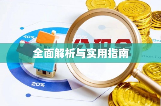 新城全面解析与实用指南