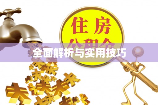 新城全面解析与实用技巧