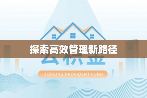 新城探索高效管理新路径