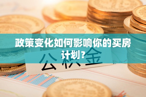 新城政策变化如何影响你的买房计划？