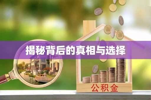 新城揭秘背后的真相与选择