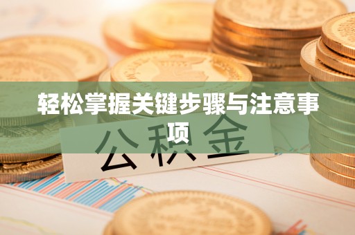 新城轻松掌握关键步骤与注意事项