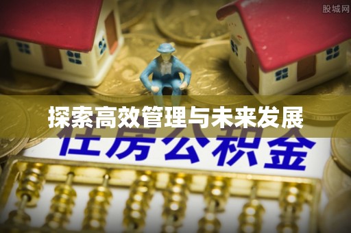 新城探索高效管理与未来发展