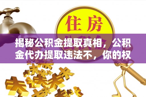 新城揭秘公积金提取真相，公积金代办提取违法不，你的权益如何保障？