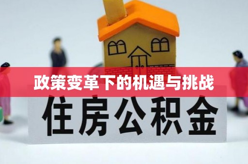 新城政策变革下的机遇与挑战