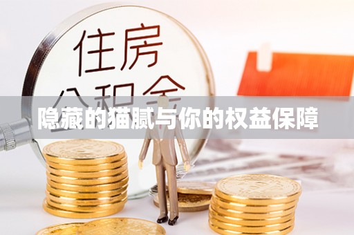 新城隐藏的猫腻与你的权益保障