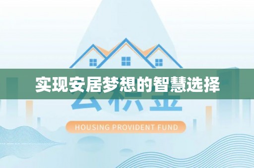 新城实现安居梦想的智慧选择