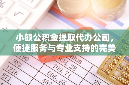 新城小额公积金提取代办公司，便捷服务与专业支持的完美结合