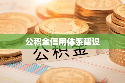 新城公积金信用体系建设