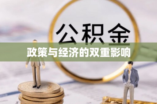 新城政策与经济的双重影响