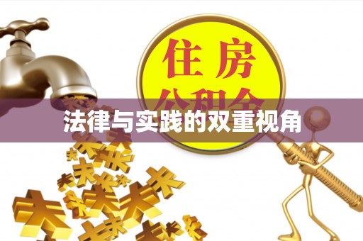 新城法律与实践的双重视角