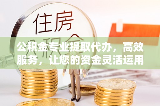 新城公积金专业提取代办，高效服务，让您的资金灵活运用