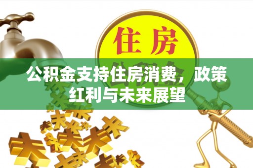 新城公积金支持住房消费，政策红利与未来展望