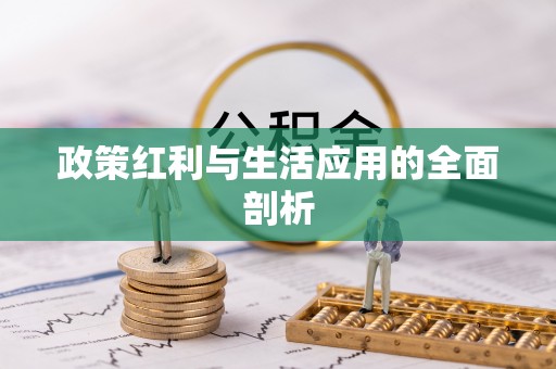 新城政策红利与生活应用的全面剖析
