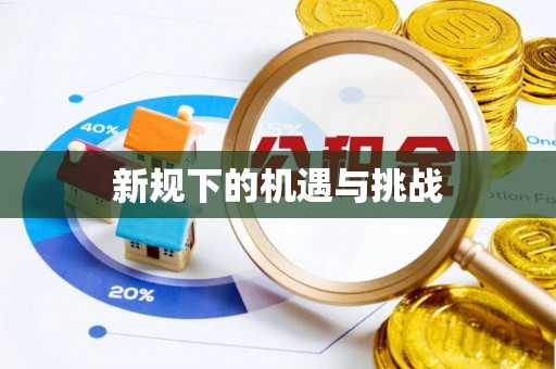 新城新规下的机遇与挑战