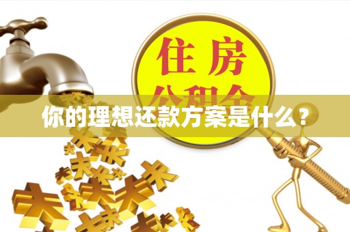 新城你的理想还款方案是什么？