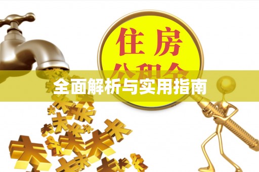 新城全面解析与实用指南