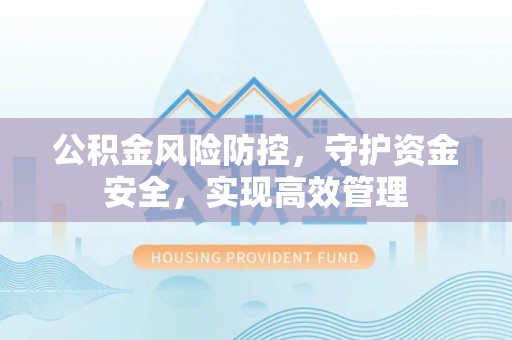 新城公积金风险防控，守护资金安全，实现高效管理