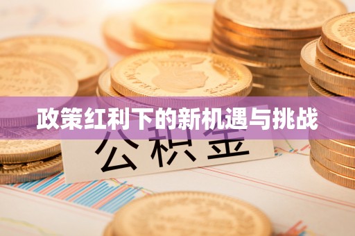 新城政策红利下的新机遇与挑战