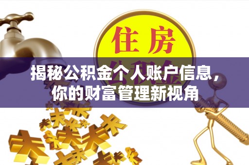 新城揭秘公积金个人账户信息，你的财富管理新视角
