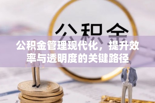 新城公积金管理现代化，提升效率与透明度的关键路径