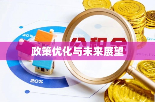 新城政策优化与未来展望