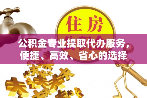 新城公积金专业提取代办服务，便捷、高效、省心的选择