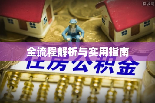 新城全流程解析与实用指南