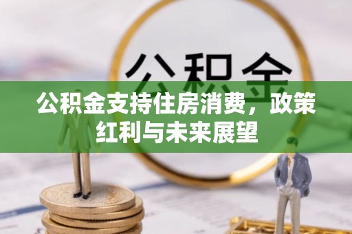 新城公积金支持住房消费，政策红利与未来展望