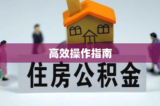 新城高效操作指南