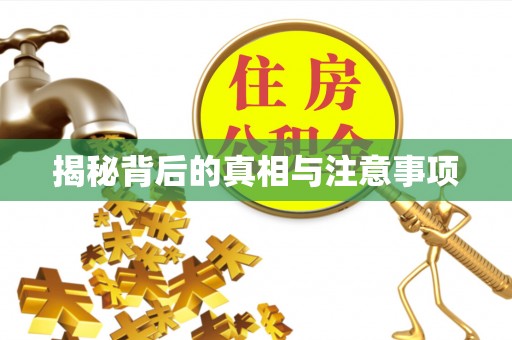 新城揭秘背后的真相与注意事项