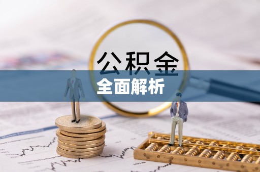 新城全面解析