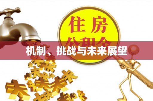 新城机制、挑战与未来展望