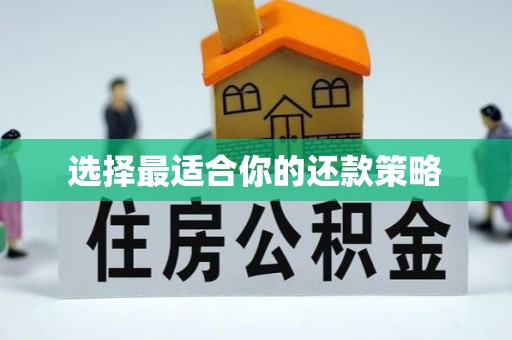 新城选择最适合你的还款策略